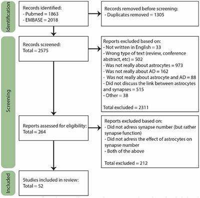 The Role of Astrocytes in Synapse Loss in Alzheimer's Disease: A Systematic Review